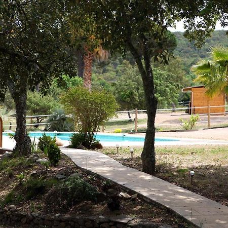 Villa Villekulla dépendance avec spa privatif Le Plan-de-la-Tour Exterior foto