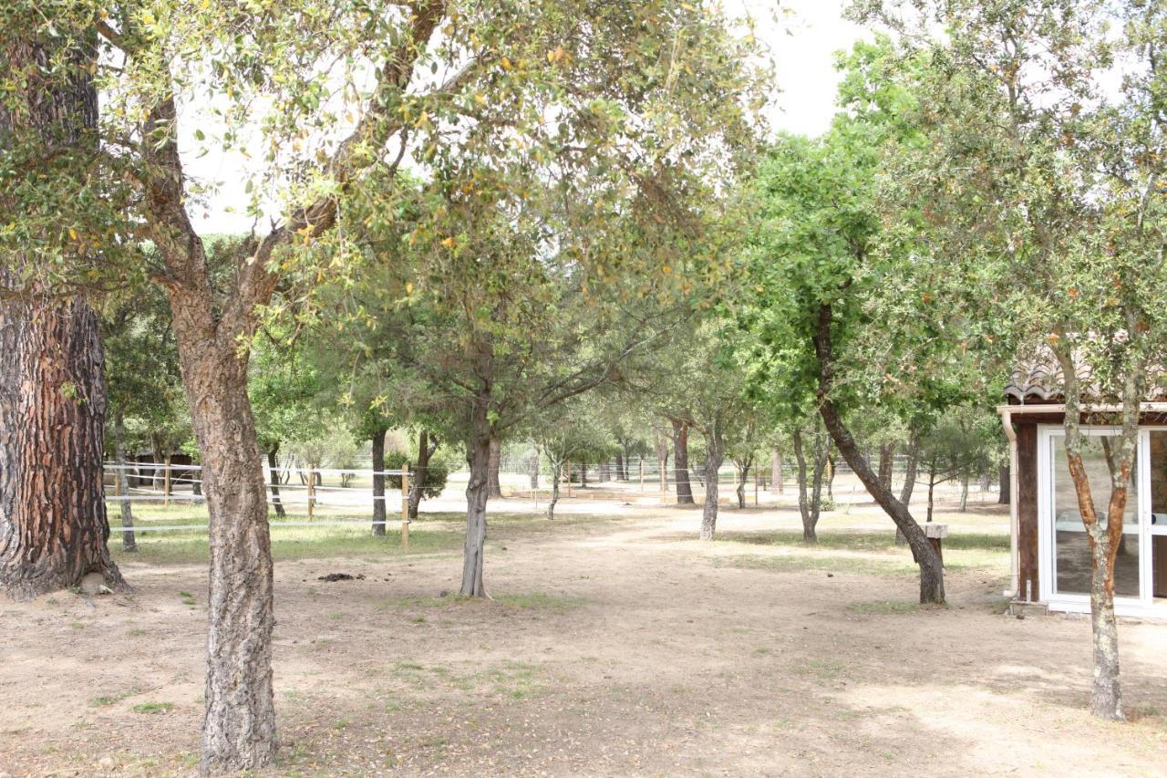 Villa Villekulla dépendance avec spa privatif Le Plan-de-la-Tour Exterior foto